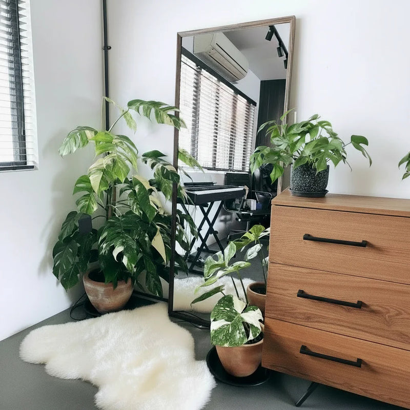 Customer photo