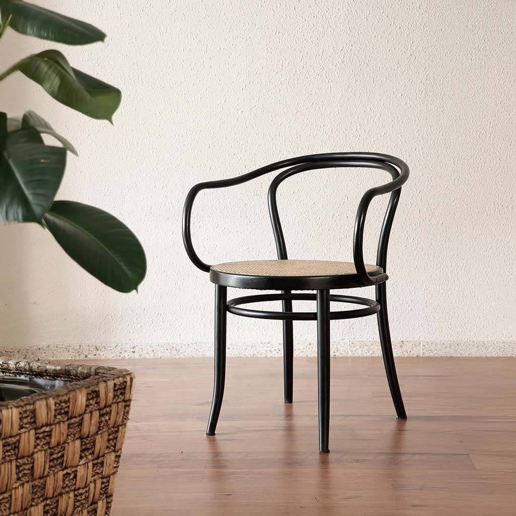 Opal Rattan Chair – Modern Upholstered Accent Chair